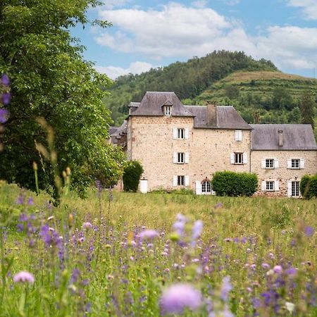 Bed and Breakfast La Demeure Du Comte Marcillac-Vallon Exteriér fotografie